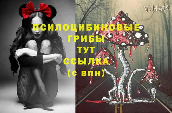 спиды Абдулино